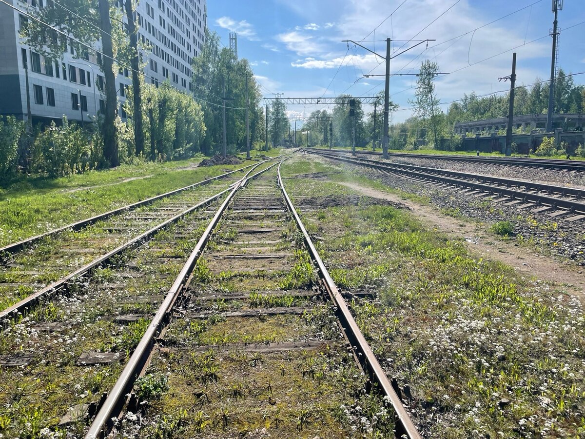 Где у ж/д стрелки шерсть? Что такое пошерстное и противошерстное движение  по стрелочному переводу? | ПОД СТУК | Дзен