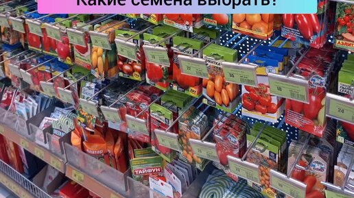 семена в драже или на ленте - какие выбрать?