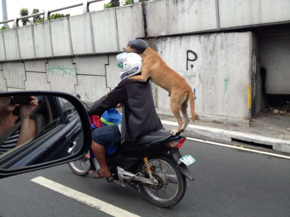 Прикольный случай