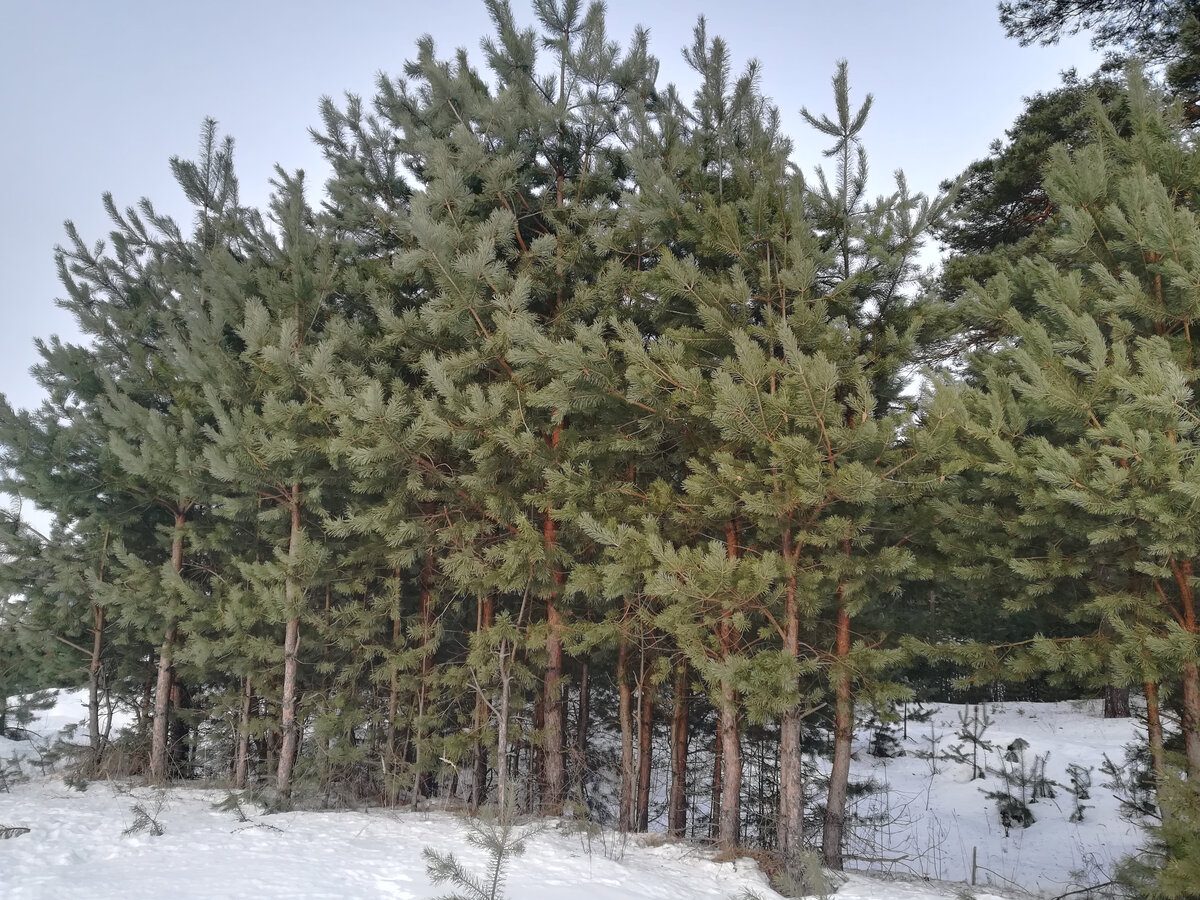 Фото из личного архива автора канала