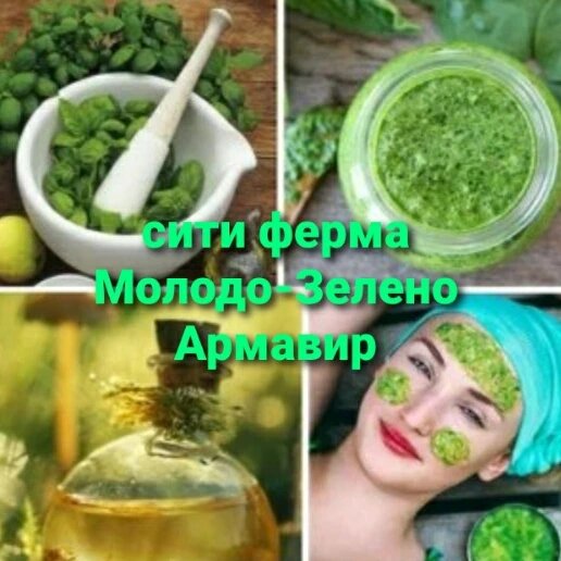 Польза базилика для кожи уже доказана дерматологами. 
Она объясняется уникальным составом, в который входят ценные вещества:
Фитонциды. Эти вещества оказывают антибактериальный эффект.
Эфирные масла — например, метилхавикол, линалоол, эвгенол и даже камфора. Они усиливают антибактериальный свойства и снимают воспаление.
Витамин Р или рутин. Это вещество помогает избавиться от угревых образований на коже, а также укрепляет стенки кровеносных сосудов.
Флавоноиды. Отвечают за регулирование работы сальных желез на коже и любые возрастные изменения дермы.
Каротин. Повышает мягкость и гладкость кожи, улучшает ее структуру, помогает тканям регенерироваться и усиливает естественную защиту клеток.
Витамин К. Сужает капилляры, благодаря чему убирает куперозные проявления покраснения рогового слоя.

