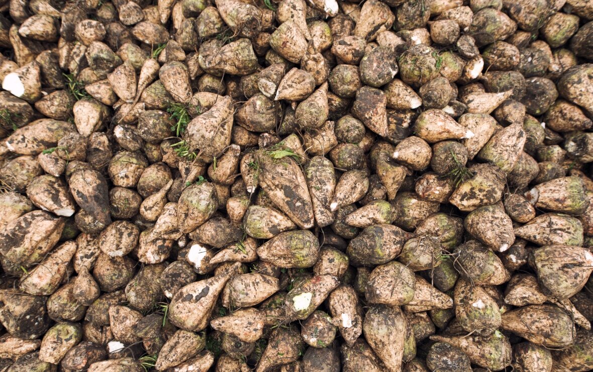 Фото: ru.freepik.com