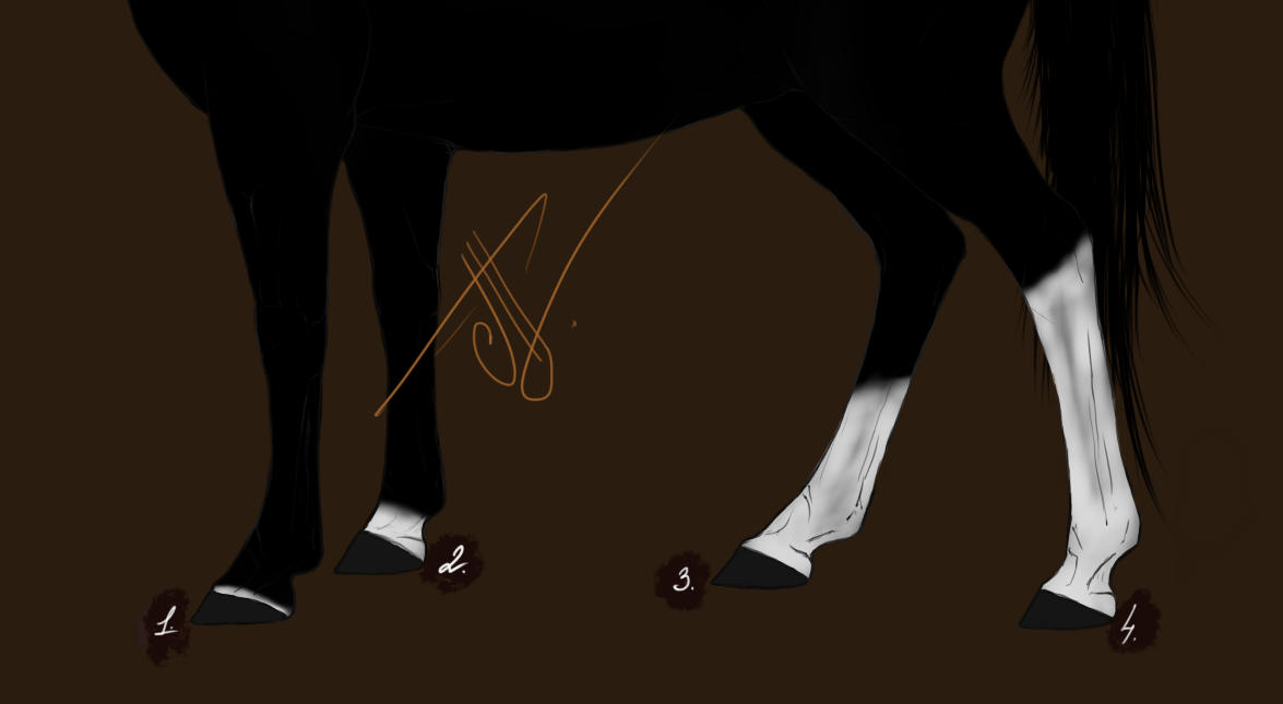 Игрушка Мастер-класс Шитьё Лошадь из носков МК Носки Пряжа