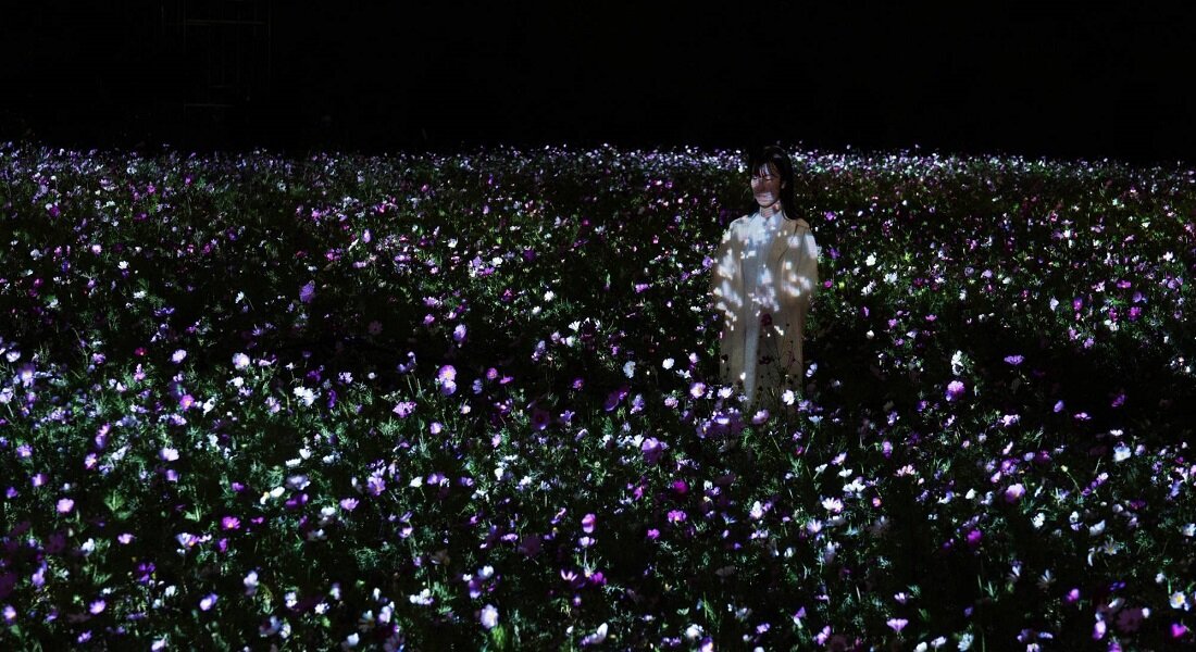 teamLab Life is Flickering Light Floating in the Dark - Cosmos teamLab, 2022, Interactive Digitized Nature, Sound: Hideaki Takahashi.