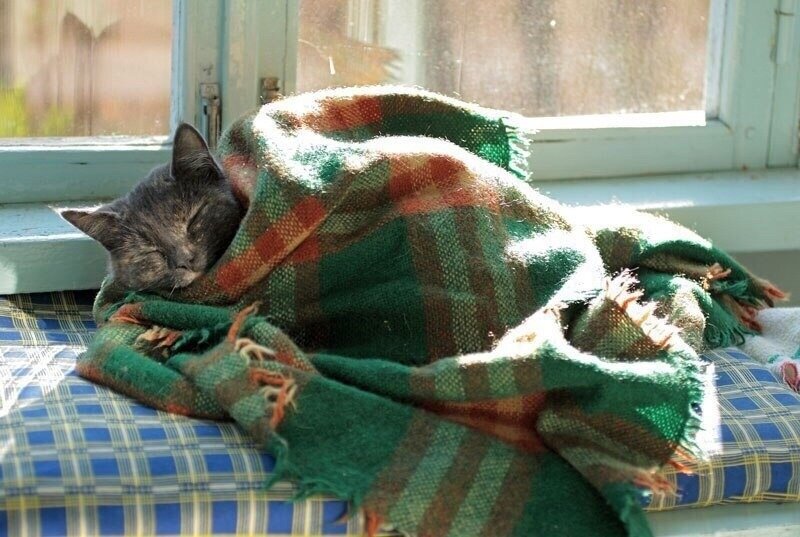 Яндекс.Картинки