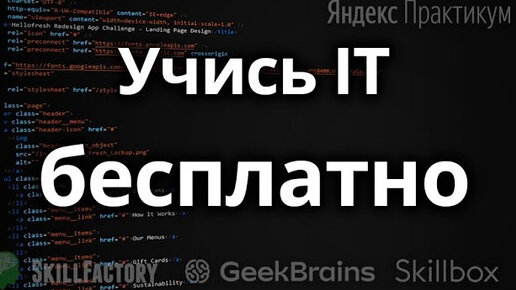 Как изучать IT бесплатно?