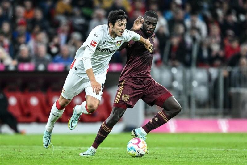    Фото: EPA/ VOSTOCK Photo