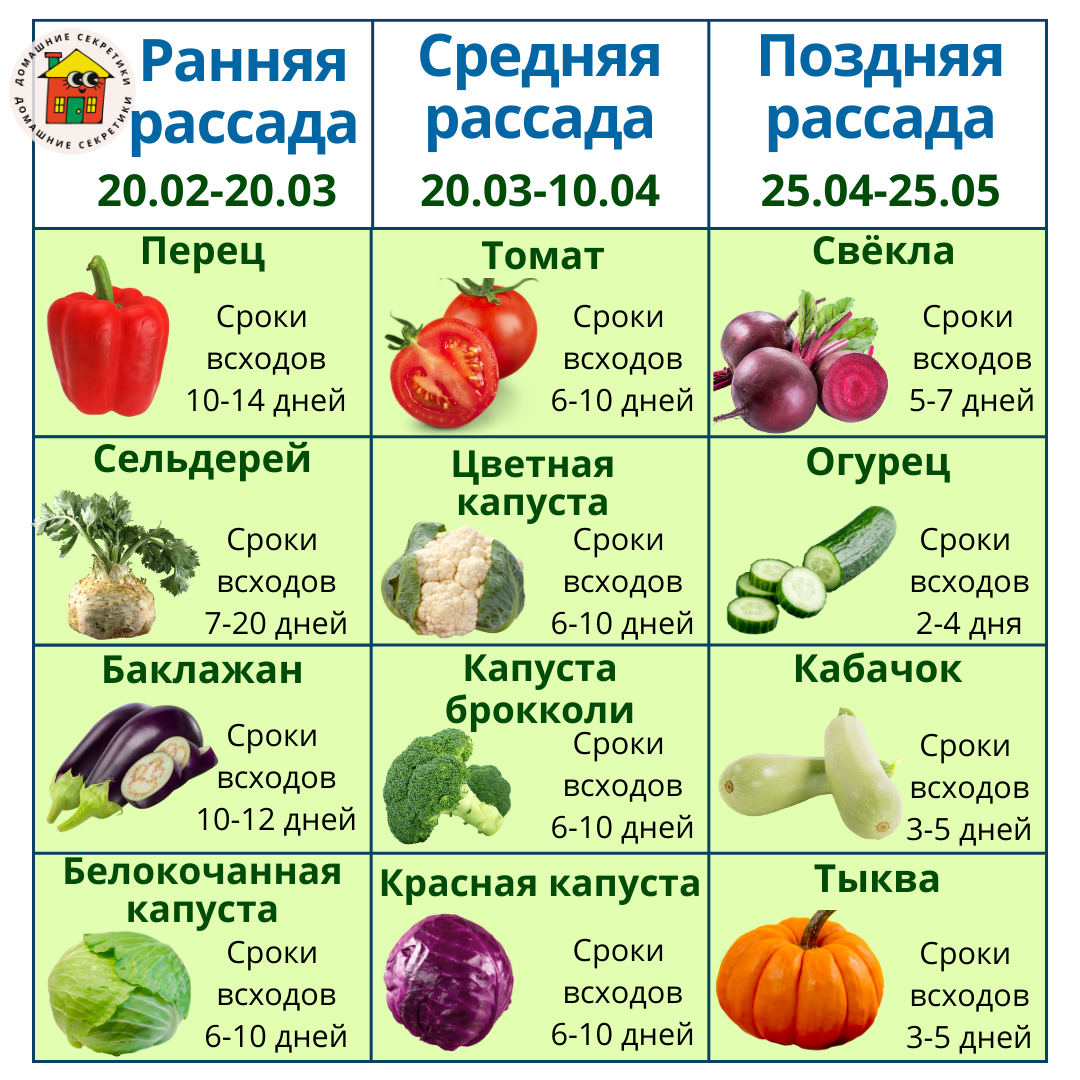 Сохраняйте себе табличку со сроками всходов разных растений! 