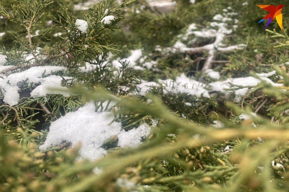     Что можно и нельзя делать в день Аксиньи-Полузимницы 6 февраля. Фото: архив «КП»