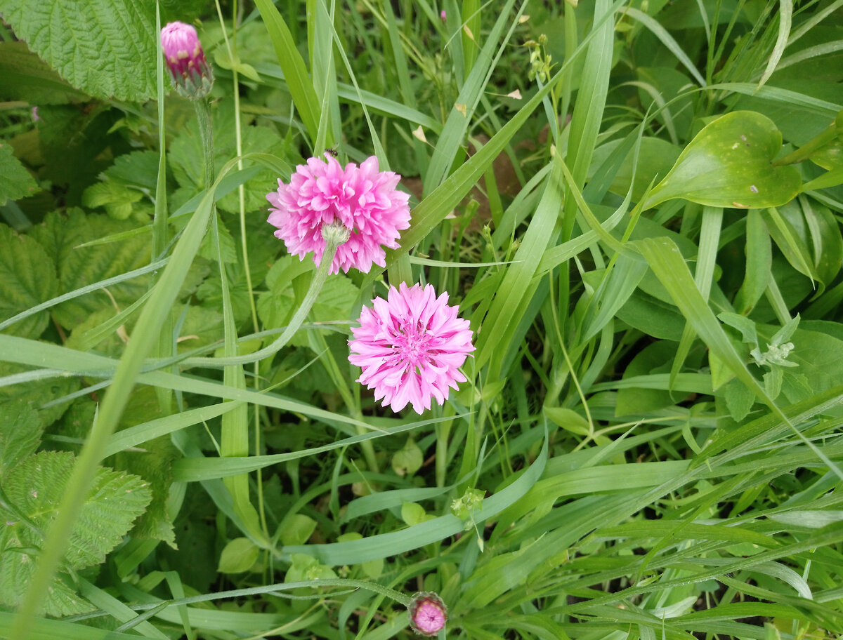 Красота природы. 