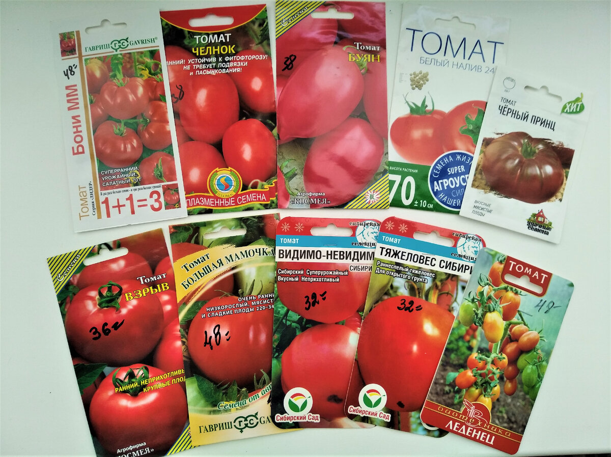 Фото автора. Томаты, которые я выбрала для посадки на 2023 год.