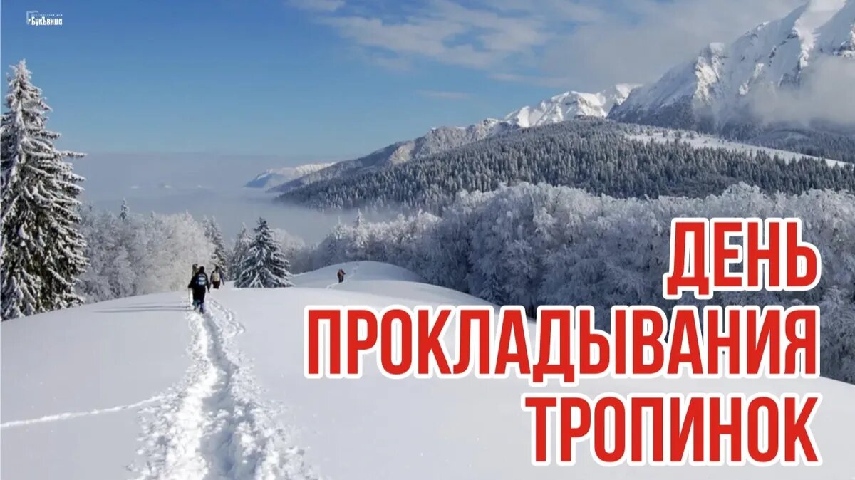 День прокладывания тропинок. Иллюстрация: «Курьер.Среда»