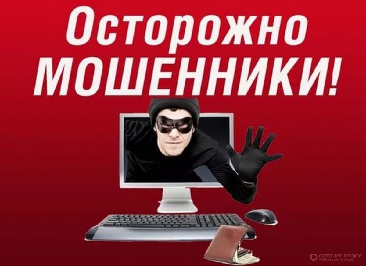Интернет мошенничество проект