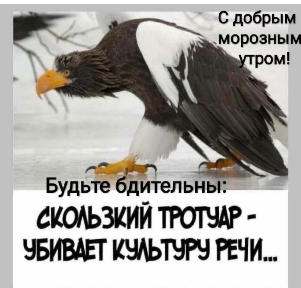 Кривцова и Марина могли покинуть департамент культуры после показаний по уголовному делу экс-директора областной филармонии и депутатки Брянского горсовета Основиной avchernov