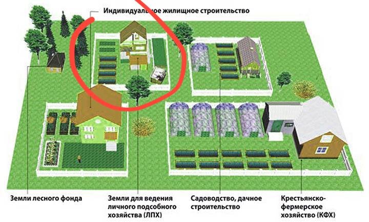 В чем разница между ижс и лпх