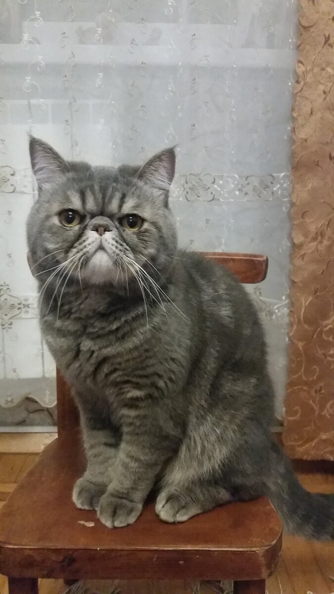 важный такой!