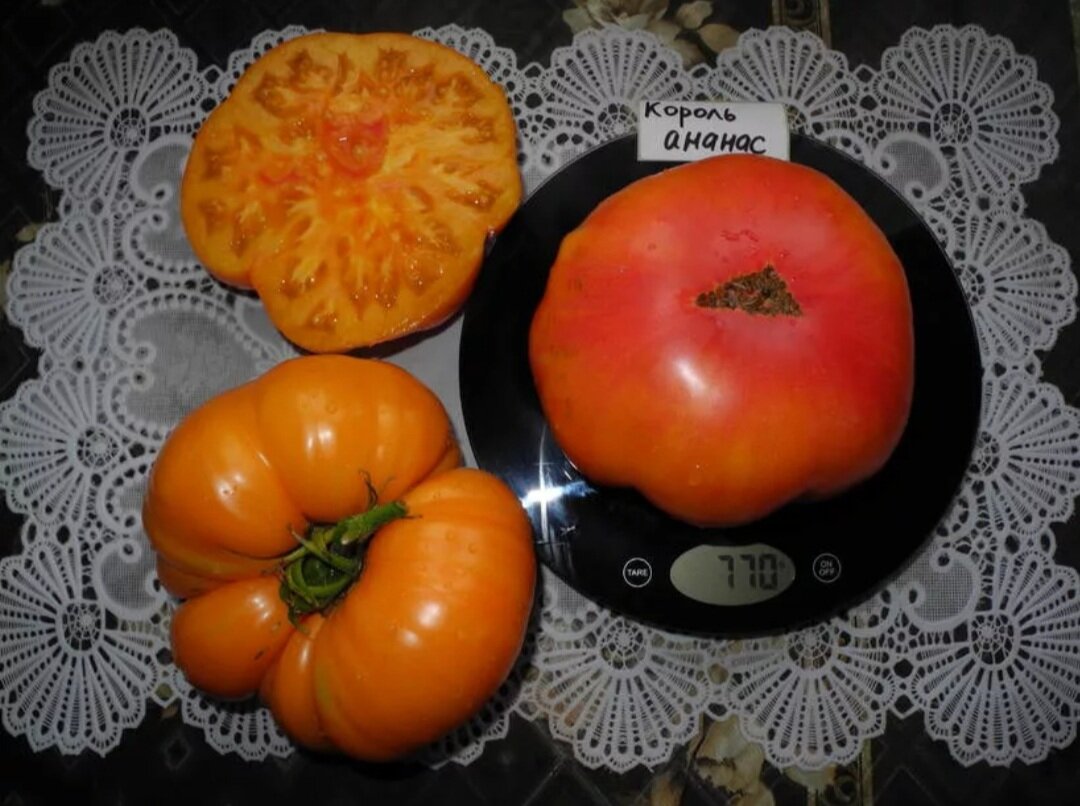 Сорт томата черный ананас. Томат желтый ананас. Сорт томатов ананас. Томат ананас биколор. Томат ананас биколор.
