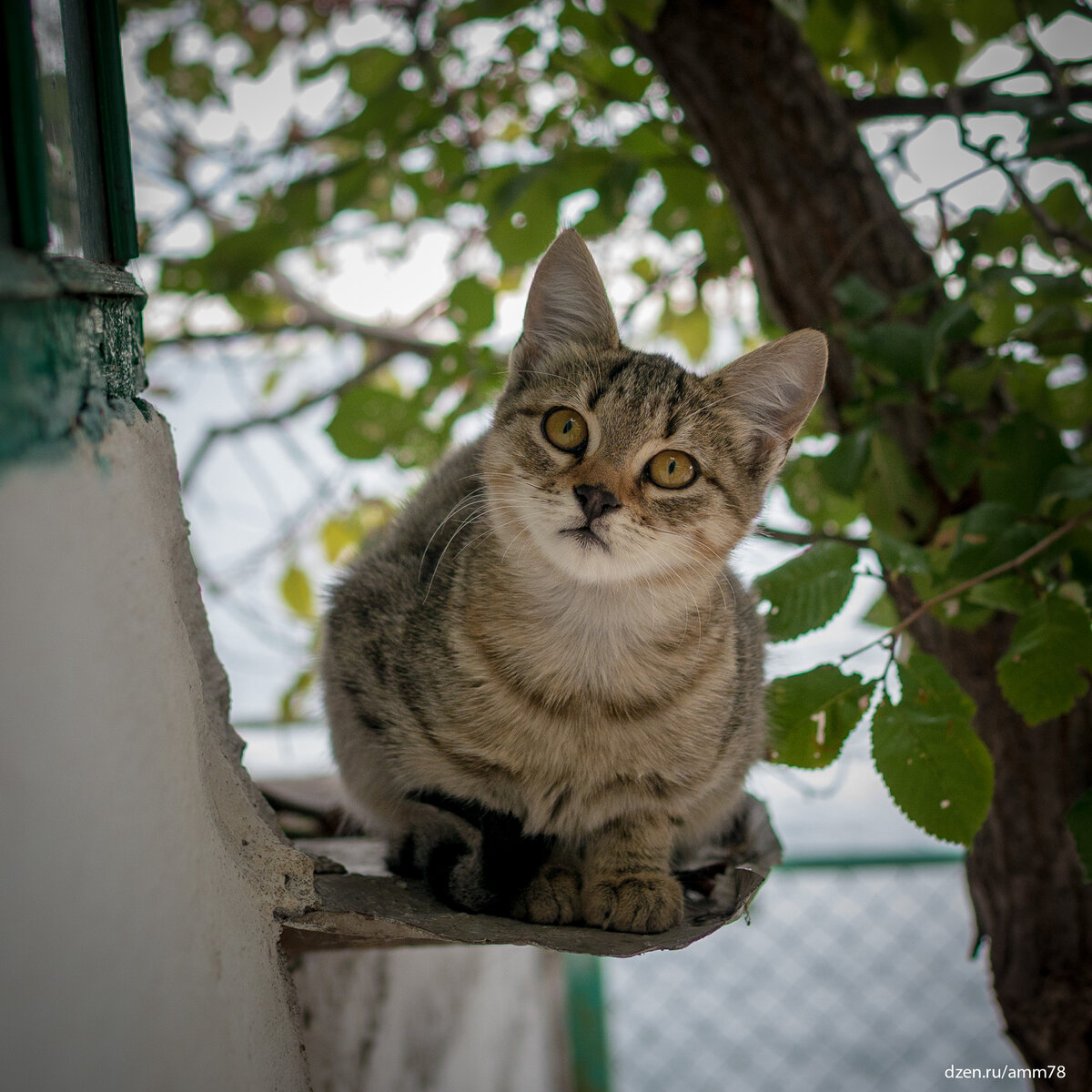 Panasonic DMC-G5; LEICA DG SUMMILUX 25/F1.4; ЭФР=50мм; f/2.2; 1/200; ISO 160; +1 EV