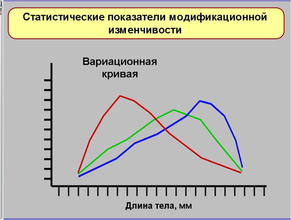 Модификационная изменчивость ее значение в жизни организма. Модификационная кривая. Модификационная изменчивость щенков. Примеры модификационной изменчивости в природе. Проект статистические закономерности модификационной изменчивости.