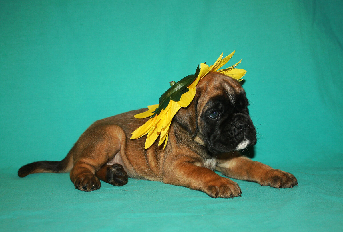 Есения 1 мес.