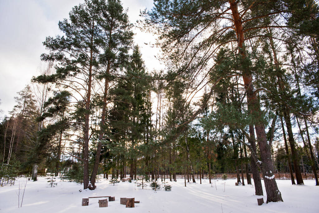 Территория центра. Фото с официального сайта.