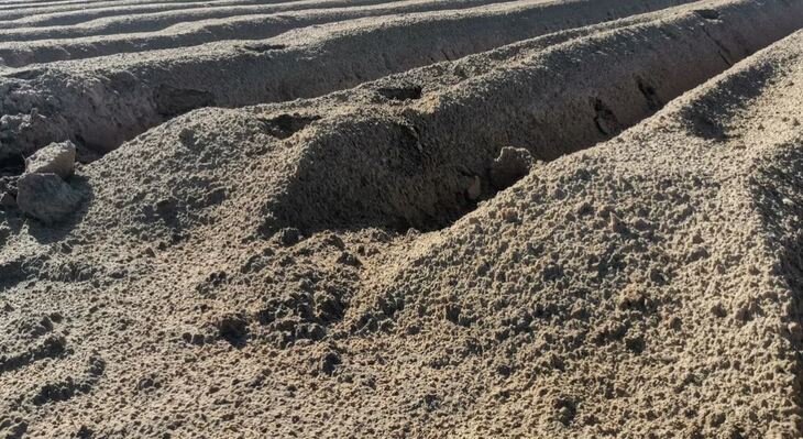    Производство искусственного гумуса становится все более выгодным и востребованным