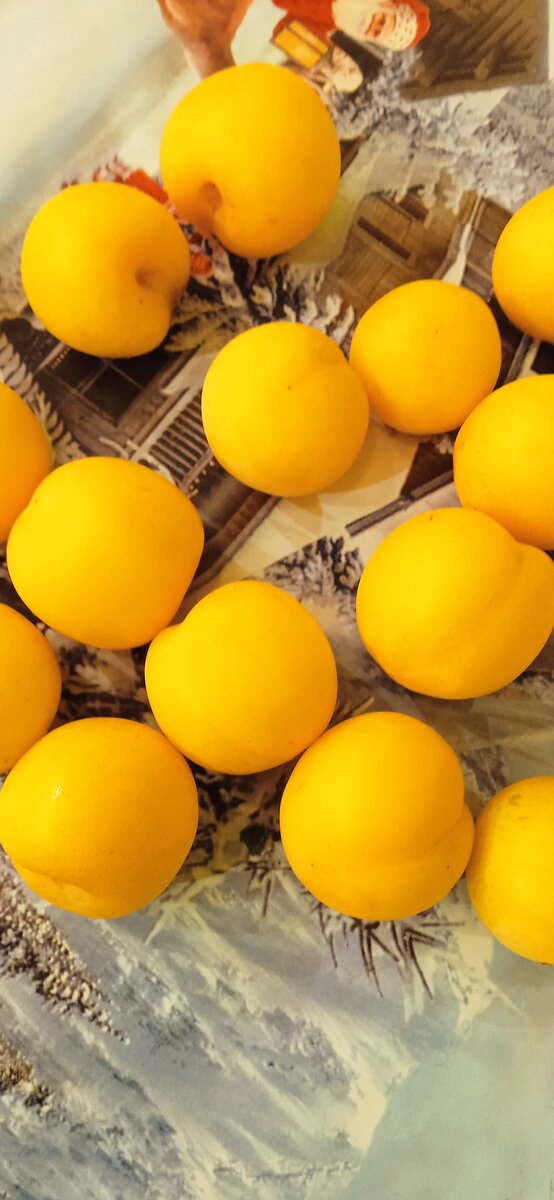 Пэрсик домашний))) 