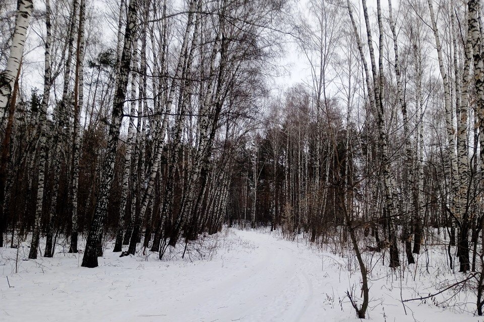     В первый день весны в Липецке до -1 градуса мороза Юлия КЛЮЕВА