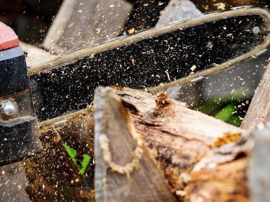     фото: pixabay.com