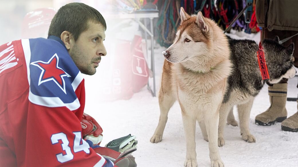    Владимир Беззубов, photo.khl.ru / shutterstock.com