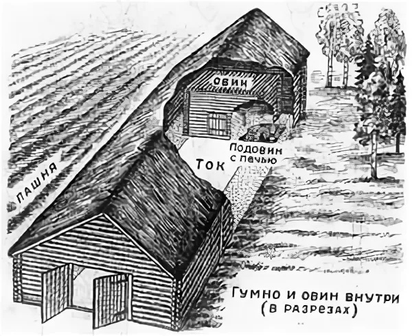 Об архитектурных особенностях хозяйственных построек: рига и овин ...