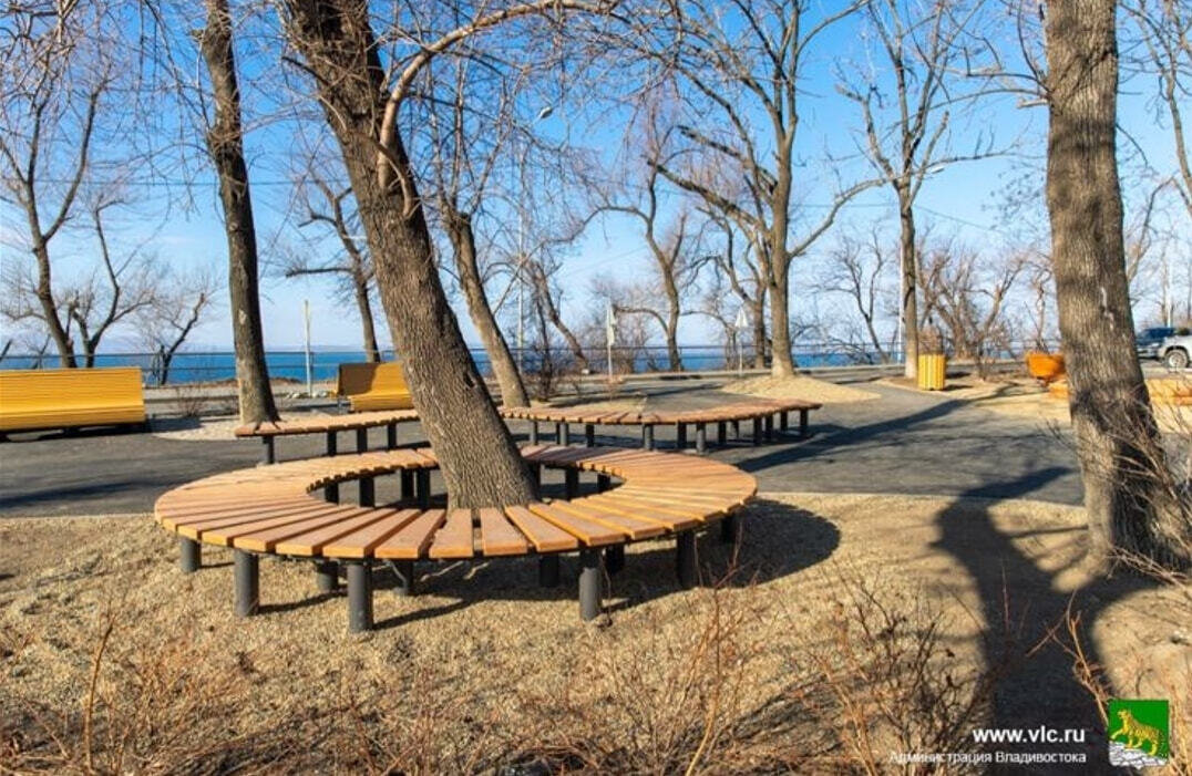    Скамейки вокруг деревьев