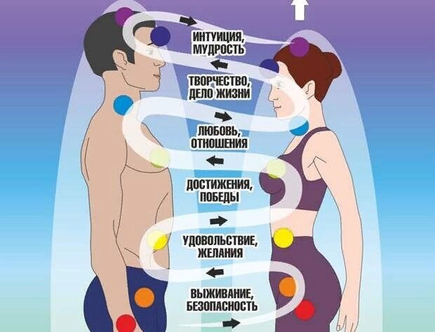 У каждого свои потребности и функции 