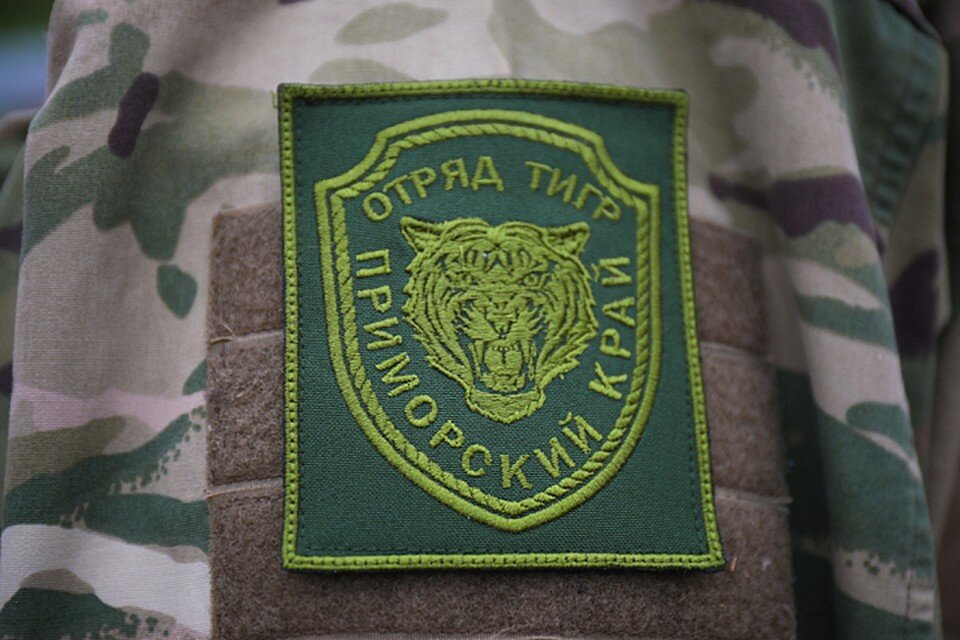     Приморцев просят не доверять недостоверной информации.  Диана ШАРАФУЛИСЛАМОВА/правительство Приморского края