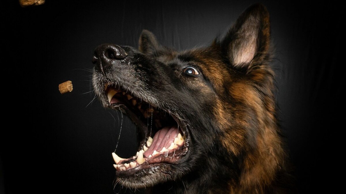     Обращение граждане оставили в социальных сетях. Его зафиксировали в Центре управления регионом Хабаровского края.