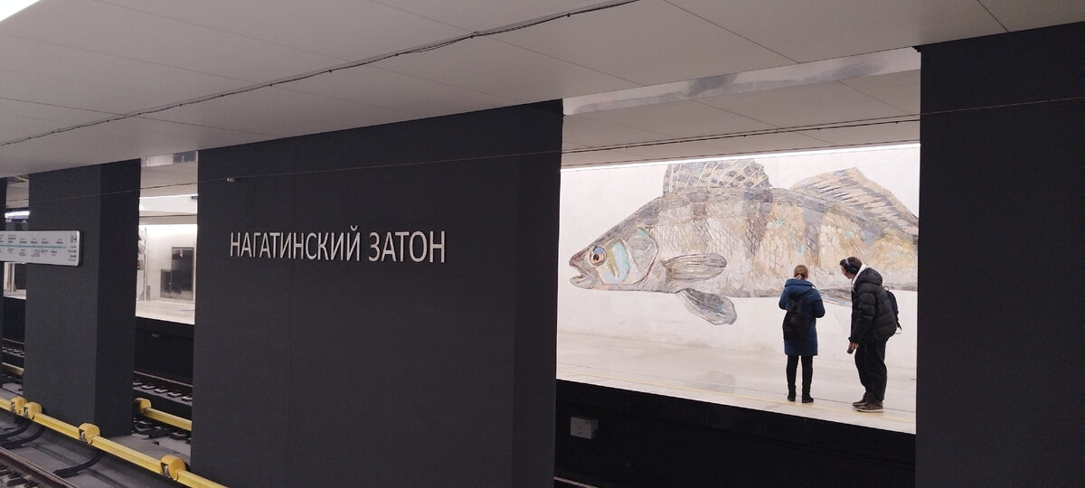 нагатинский затон