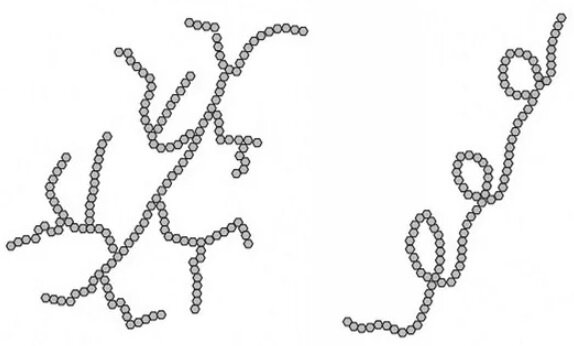 Создать карусельАмилопектин и амилоза