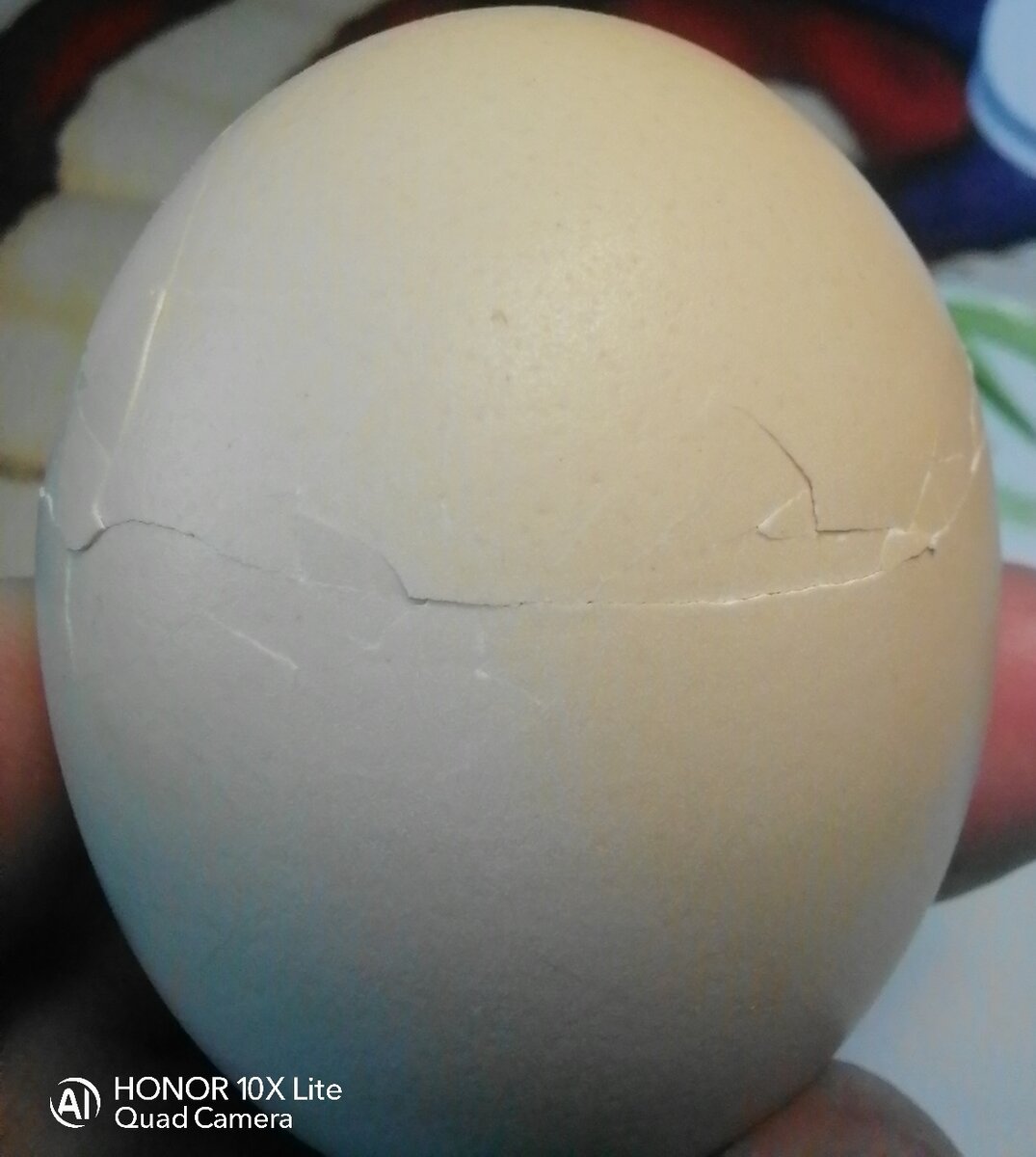 Насечки по кругу