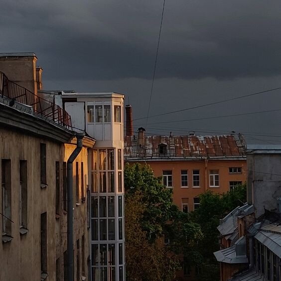 Вид из моего окна. Лето