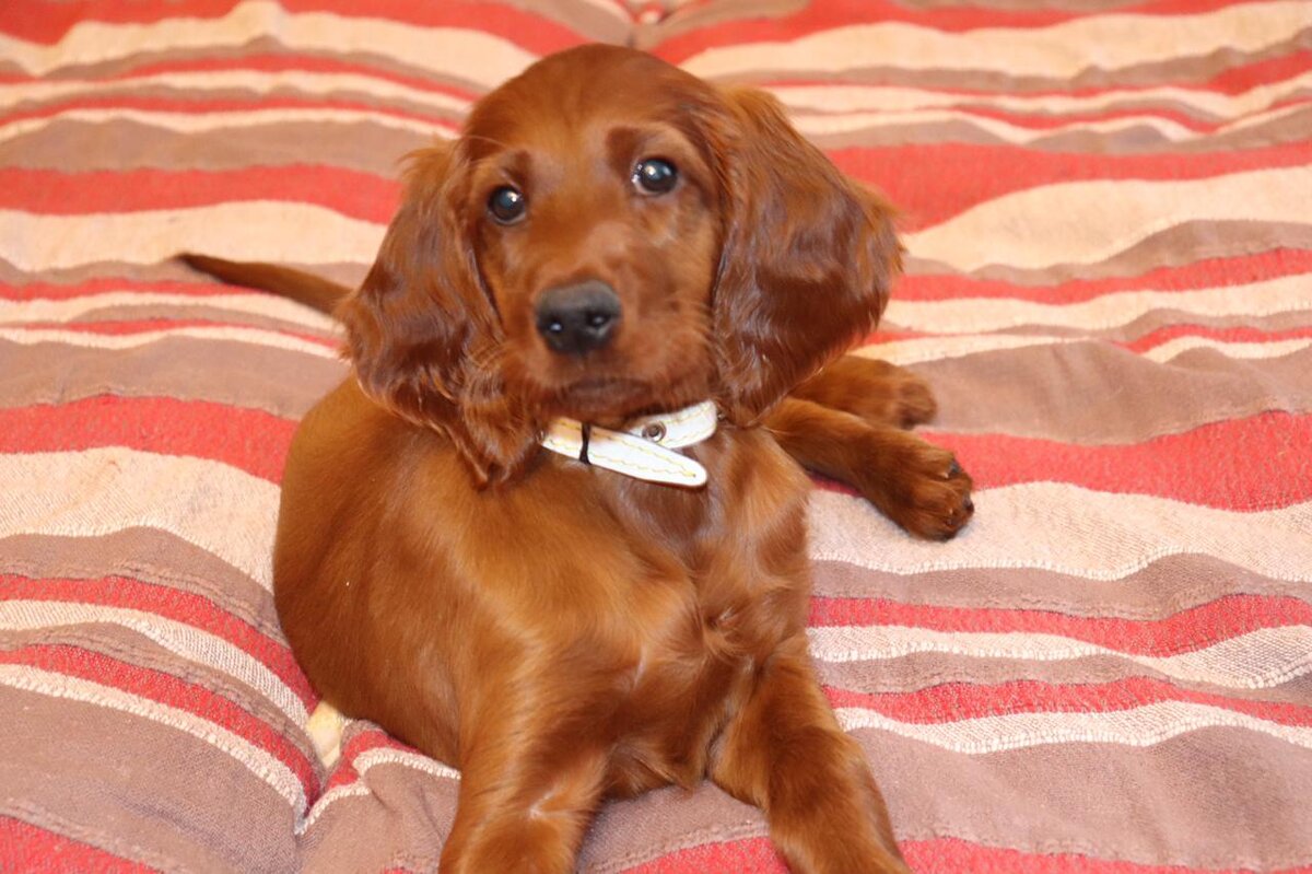 Уна Шарлотта 2 месяца