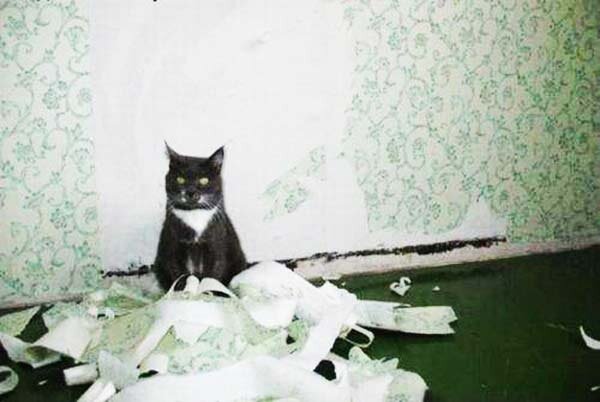 Фото из Интернета.