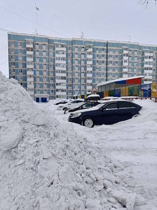     Фото: администрация Нового Уренгоя