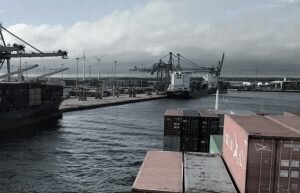    Фото: dimsumdaily.hk Ирина Амелина