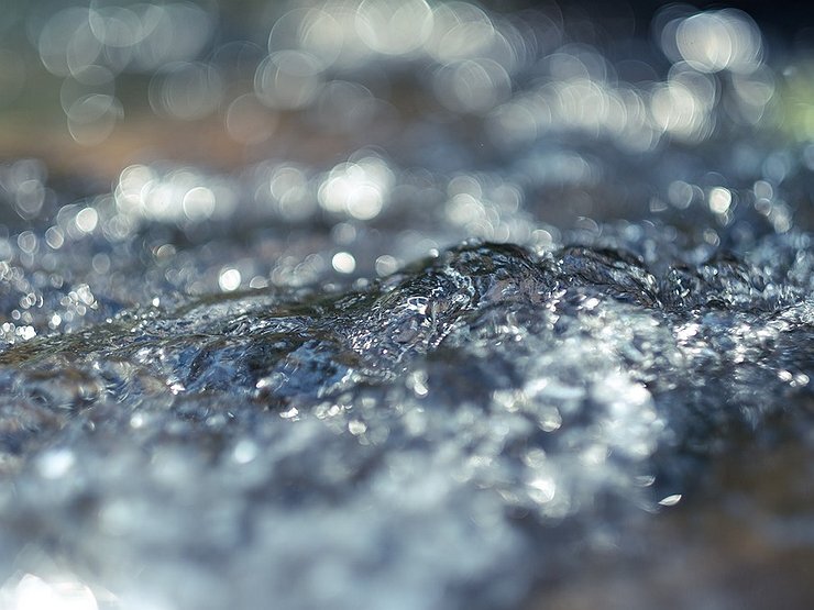   Фото: pixabay.com