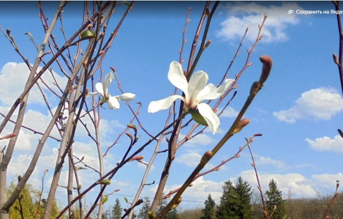   ГТРК "Ставрополье"