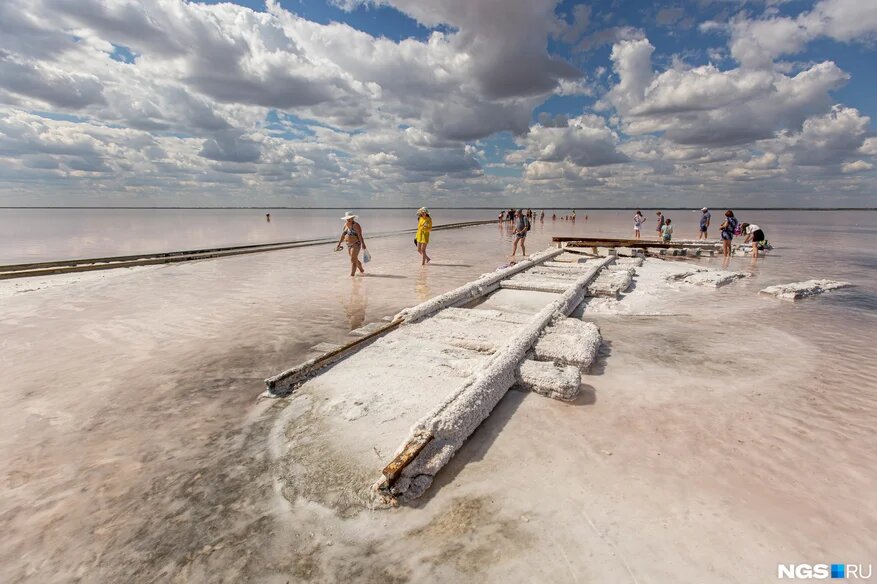 Источник: ngs.ru