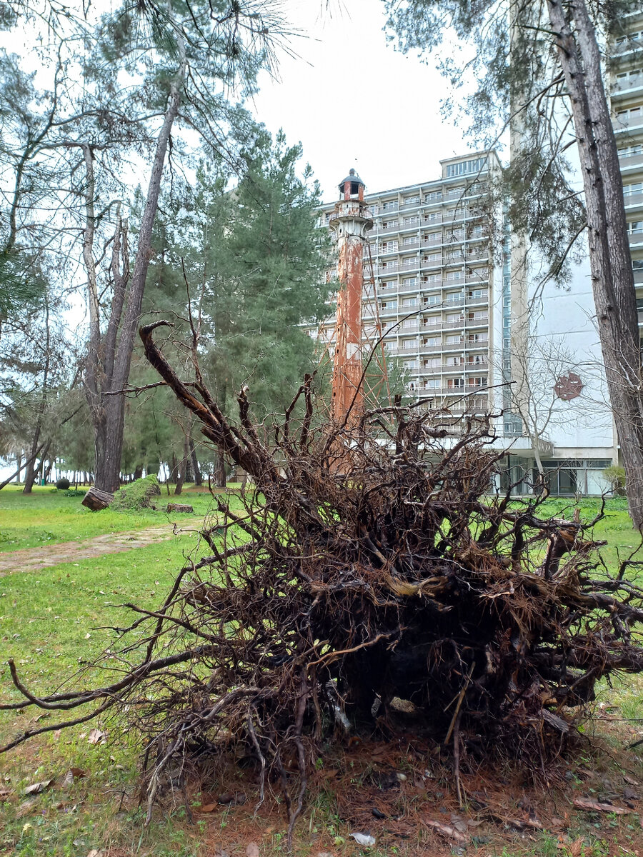 Маяк возле высотных домов.