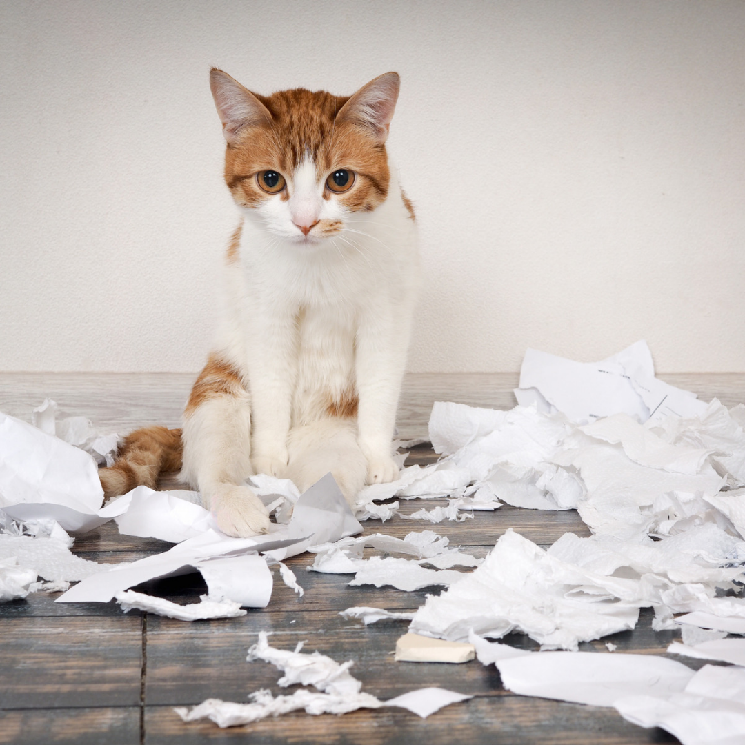 А че нельзя было?? 