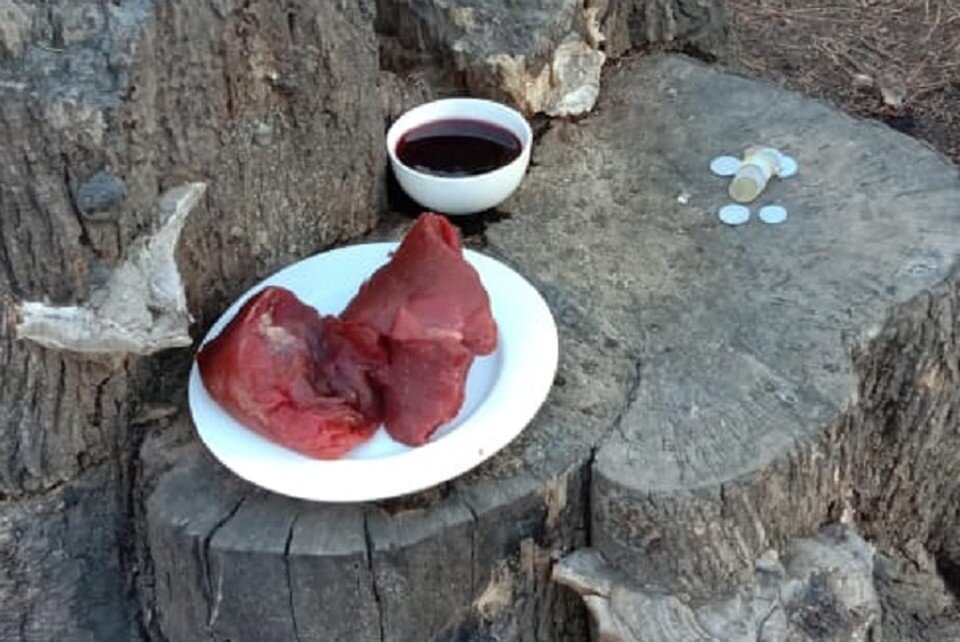     В прошлый раз подношение оставили на пеньке Фото: предоставлено Алексеем Скажутиным