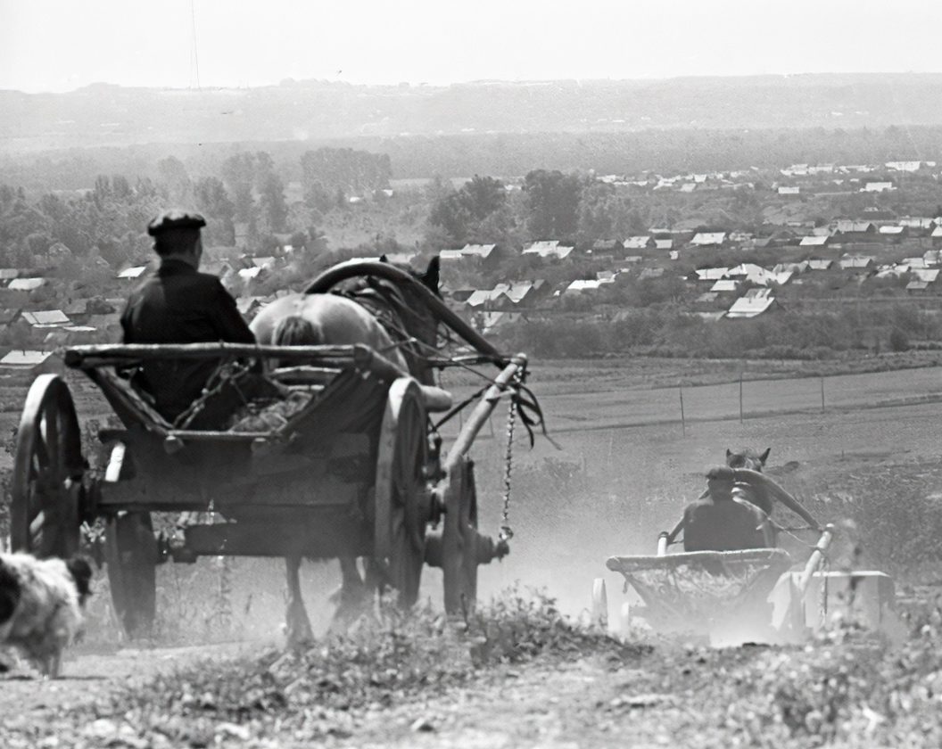 Фото: РИА Новости